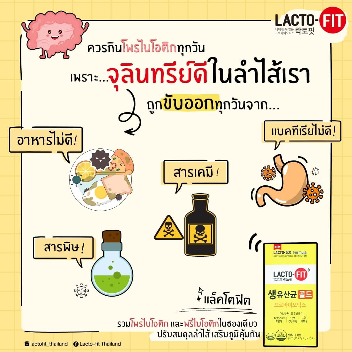 Lacto-fit ,ดีท็อก ล้างลำใส้,Lacto-fit Synbiotic ราคา,Lacto-fit Synbiotic รีวิว,ดีท็อก,ดีท็อก Lacto-fit